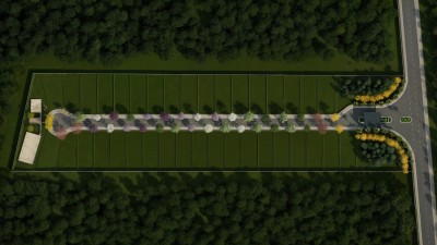 thumbnail--68e96d50f0e3a.webp