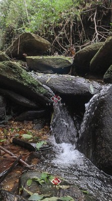 thumbnail--6a0f4e878ef34.webp