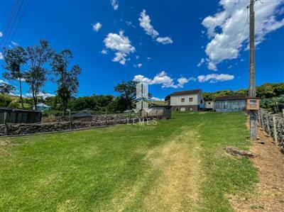 mp_1617048301.jpg