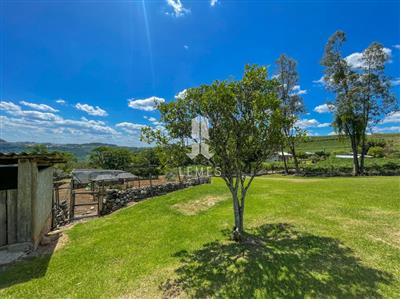 mp_1617048308.jpg
