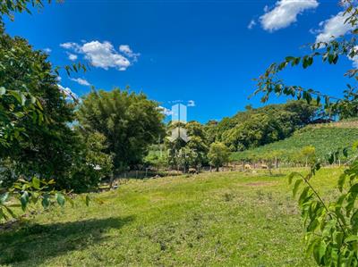 mp_1617048310.jpg