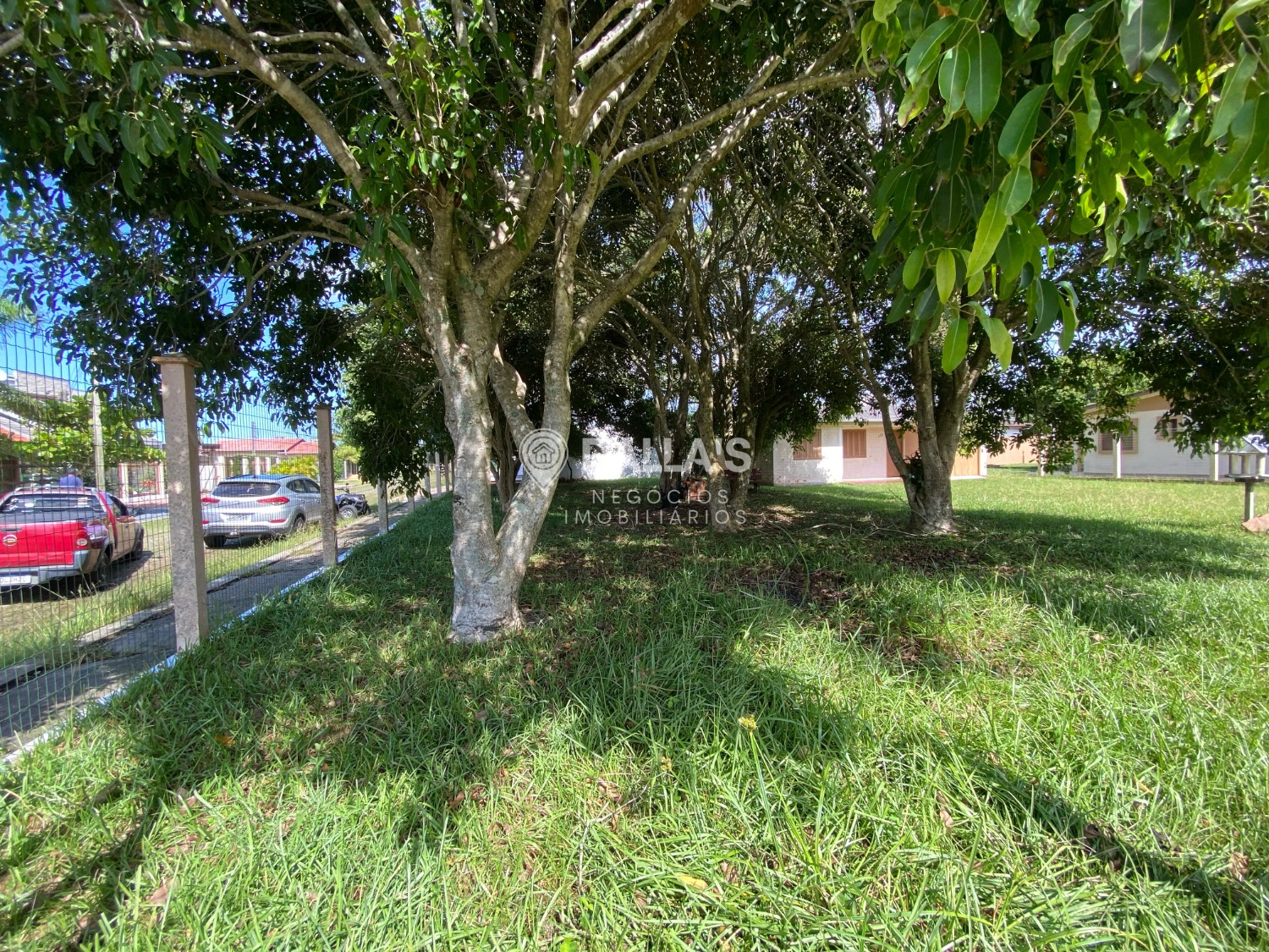 thumbnail--67faa7112e4f0.webp