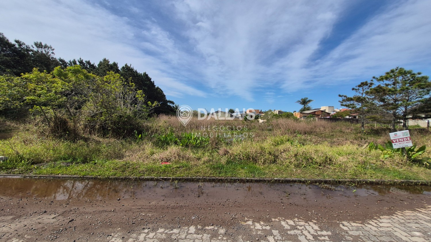 thumbnail--6ab6d103169f7.webp
