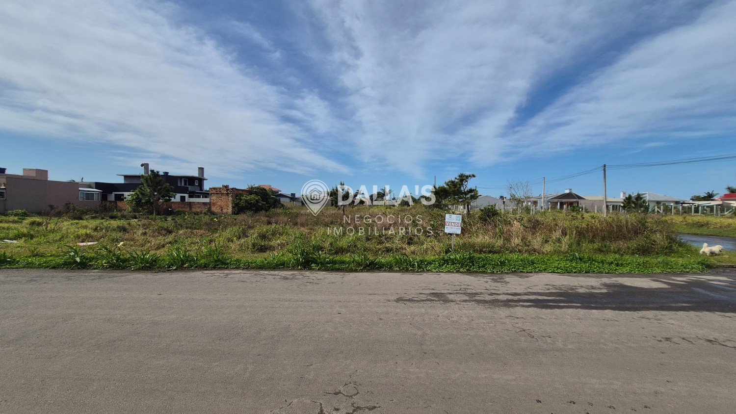 thumbnail--6ab6d17200c12.webp