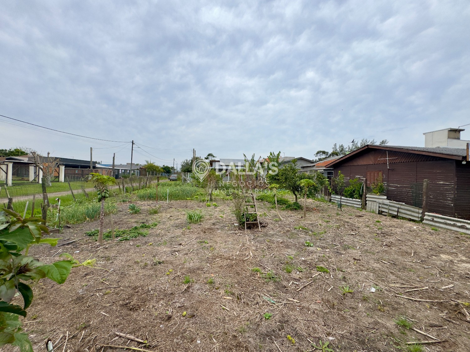 thumbnail--6ac7c945e878f.webp
