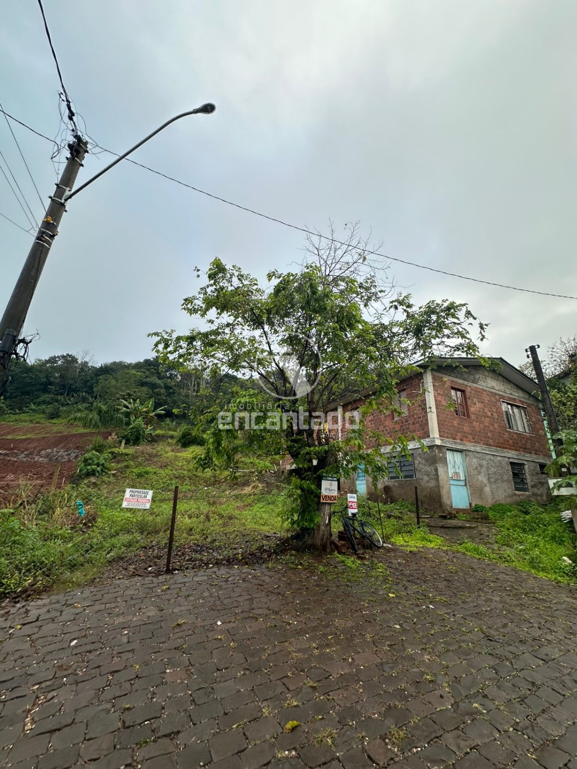 thumbnail--68472d5fbcba1.webp