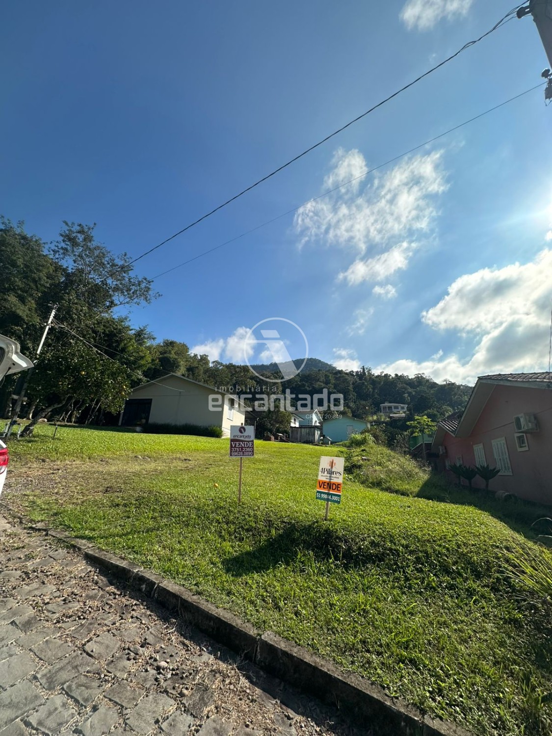 thumbnail--6a368f53c8798.webp