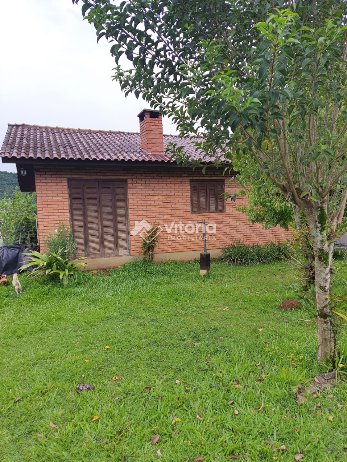 thumbnail-whatsapp-image-2023-10-17-at-16-49-46-652ee937c208a.wepb