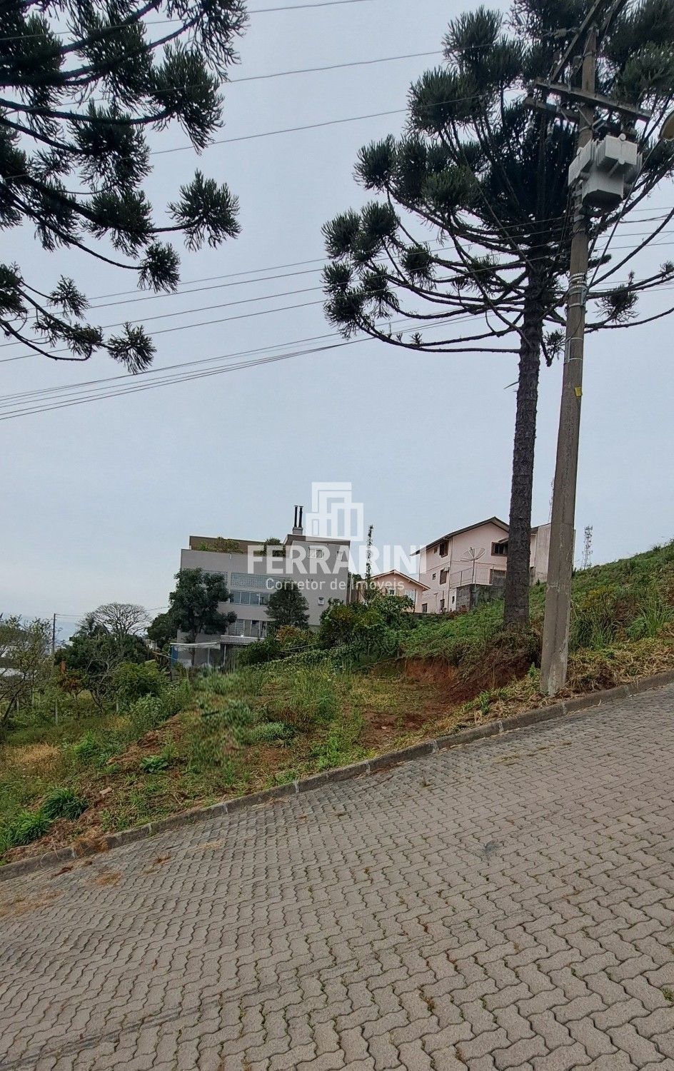 thumbnail--6a31913407898.webp