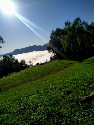 thumbnail--6841eae214adc.webp