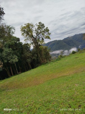 -6841ebe88464a.webp