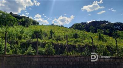 thumbnail-mp_1205666979.jpg