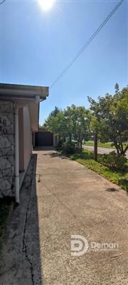 thumbnail-mp_1675487692.jpg