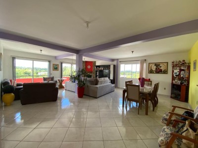 large--6899fc6de7986.webp