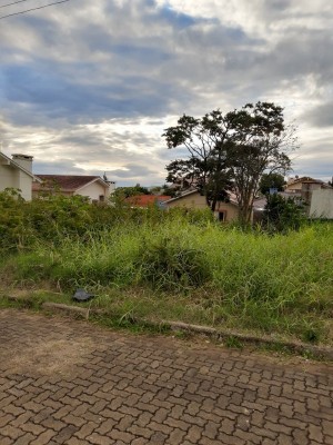 thumbnail-1367211-foto-702960128-64ef3483c1877.wepb