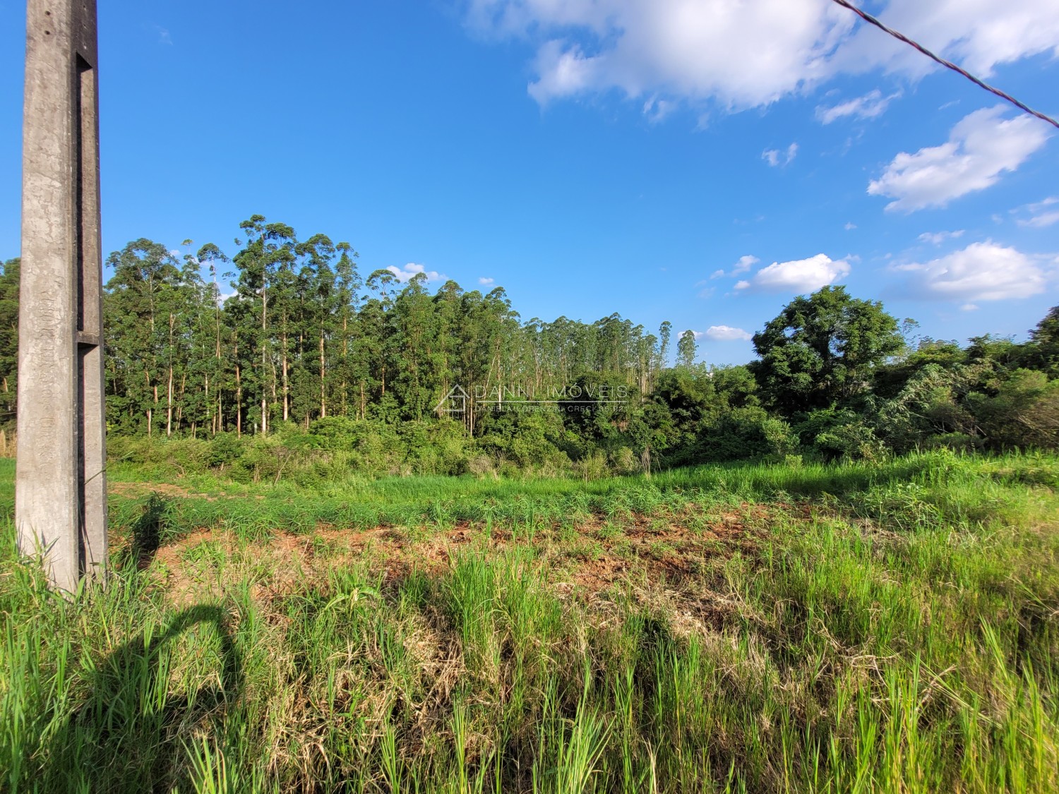 thumbnail-20231211-172318-65789548da70b.wepb