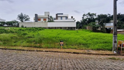 thumbnail-1000049365-66954df2d9cfe.webp