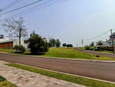 thumbnail-img-20240830-124706-2-66d1ec1e9b627.webp