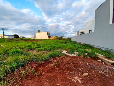 thumbnail--6a6a6800609f9.webp
