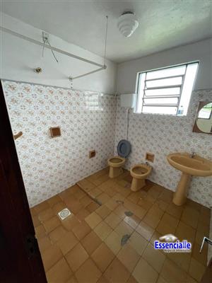 mp_1490555785.jpg