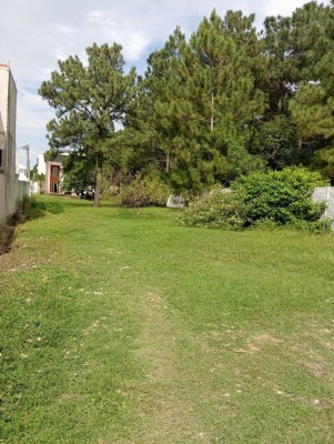 thumbnail--6908f6deea56f.webp
