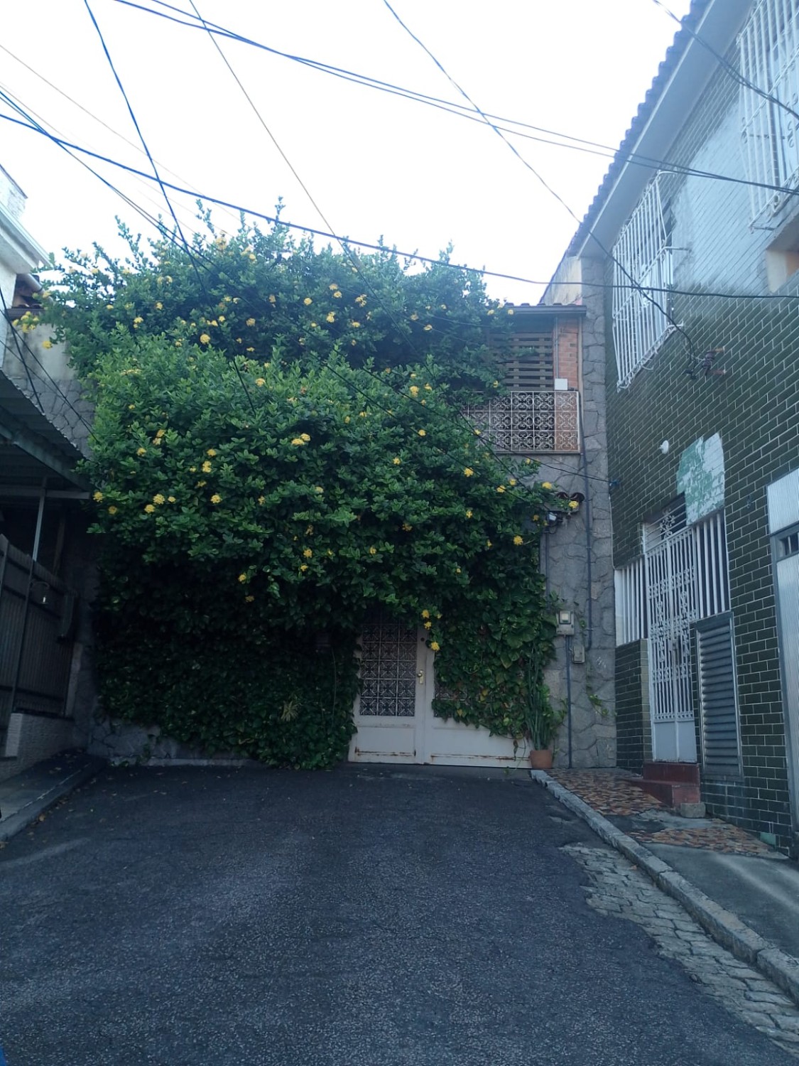 thumbnail--6a0630069e2c2.webp