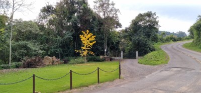 reas de Terra - Monte Belo do Sul