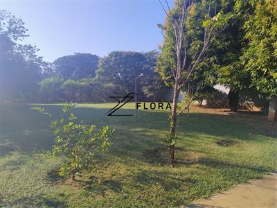 thumbnail-imagens_333909jpg-1.webp