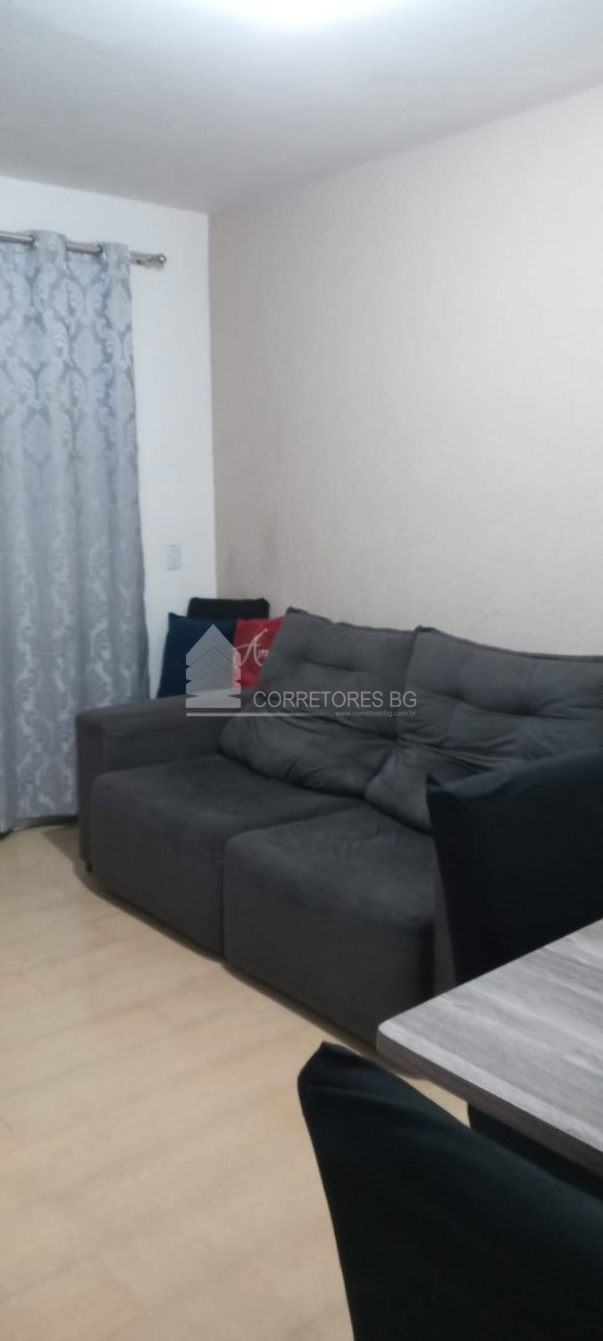 thumbnail-whatsapp-image-2023-07-28-at-10-39-55-64c3c67e604c1.wepb