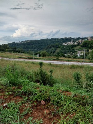 -6a553492f3890.webp
