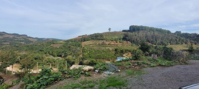 -6a399606c28ce.webp