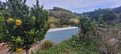 -6a39960f852d0.webp
