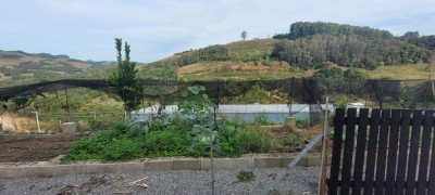 -6a39961406b61.webp
