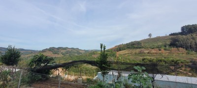 -6a399615c7480.webp