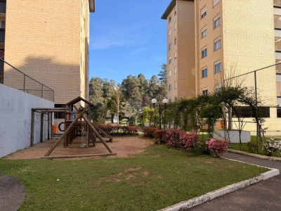 thumbnail--6ab47f400d1e9.webp