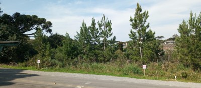 thumbnail--6a95e2913c2c9.webp