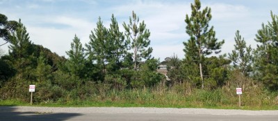 thumbnail--6a95e29378f45.webp