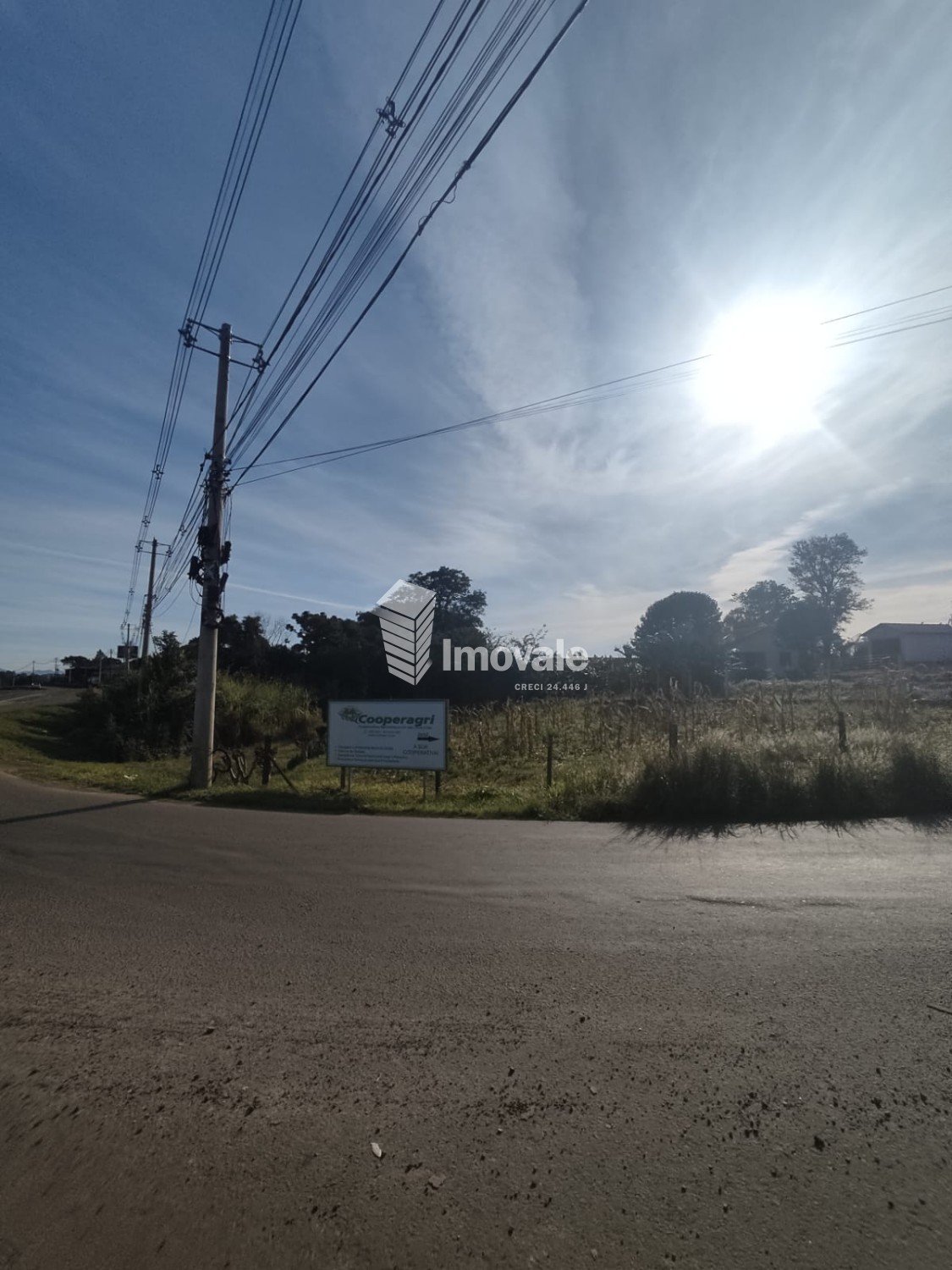 thumbnail-whatsapp-image-2023-07-24-at-09-11-31-64c3c9cf63db0.wepb