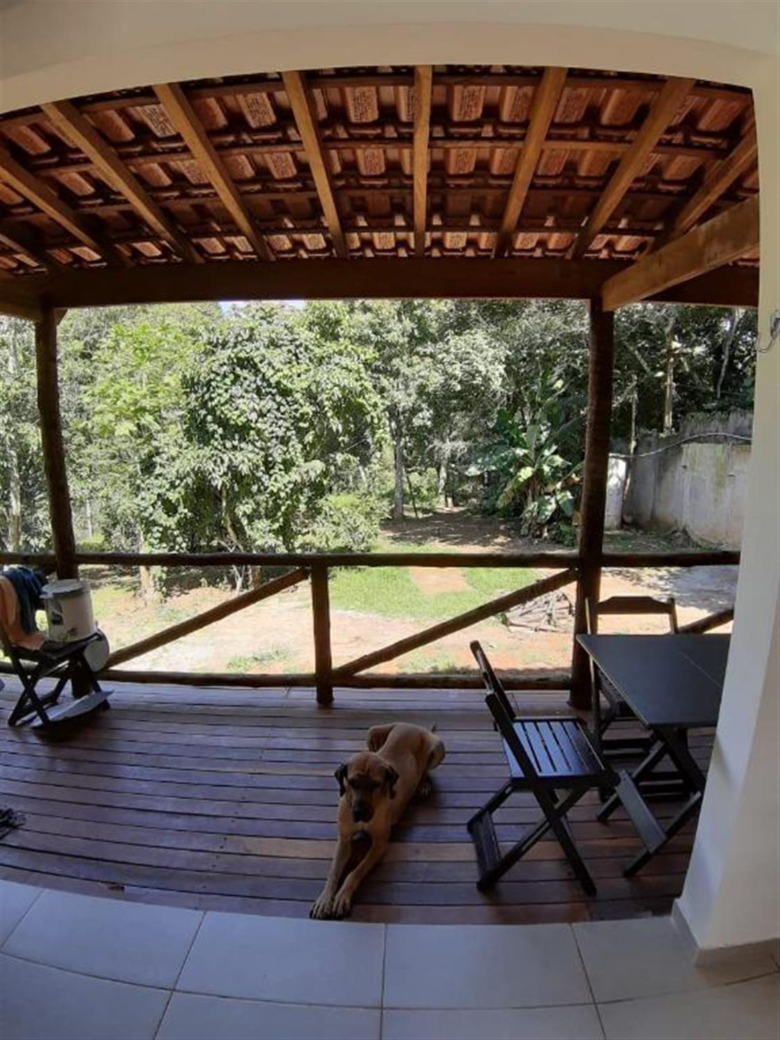 Sítio, 3 quartos, 1900 m² - Foto 16