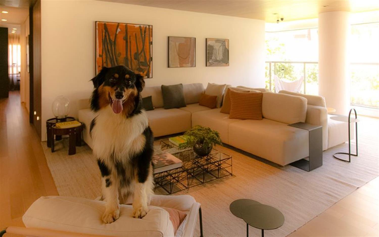 Apartamento, 4 quartos, 210 m² - Foto 28