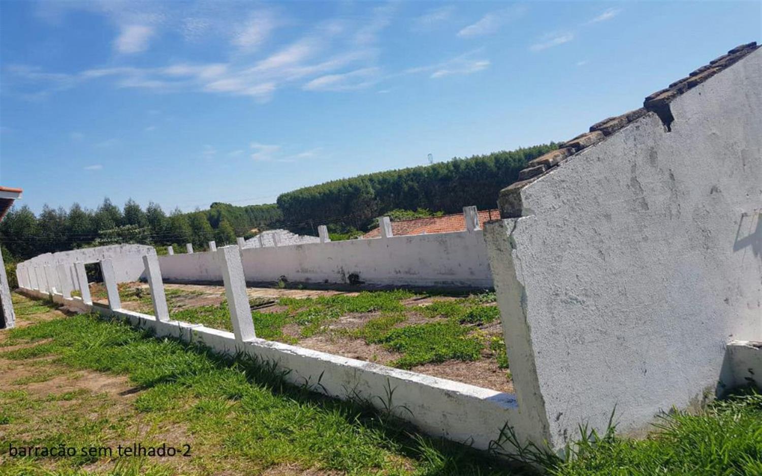 Sítio, 2 hectares - Foto 15