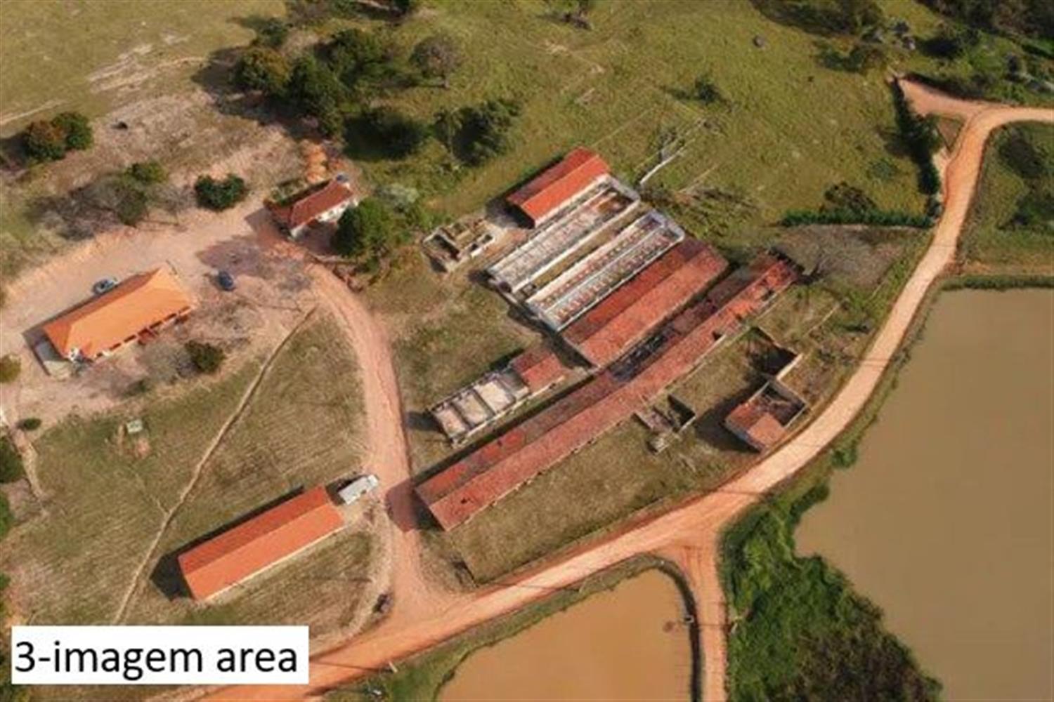 Sítio, 2 hectares - Foto 4