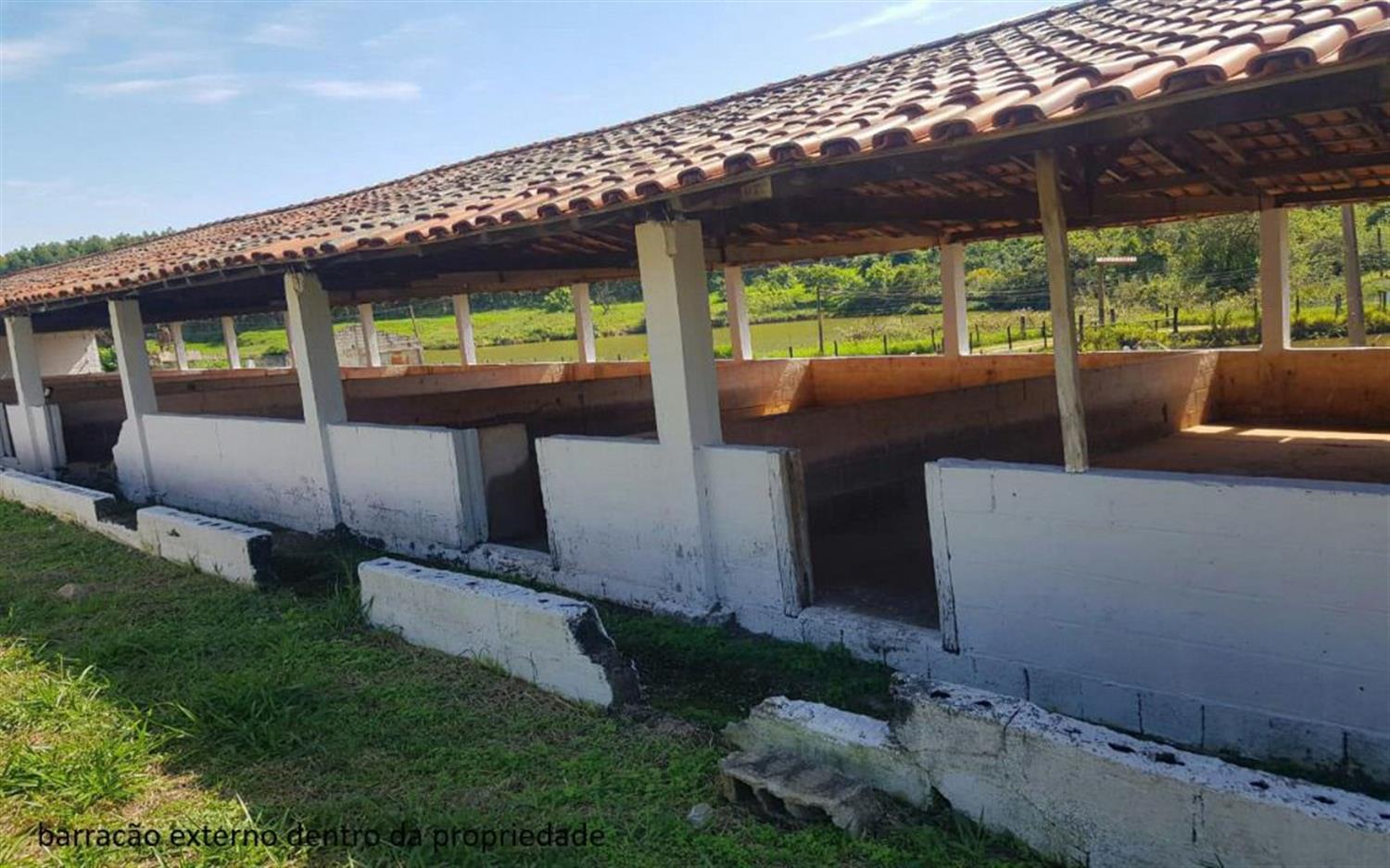 Sítio, 2 hectares - Foto 12