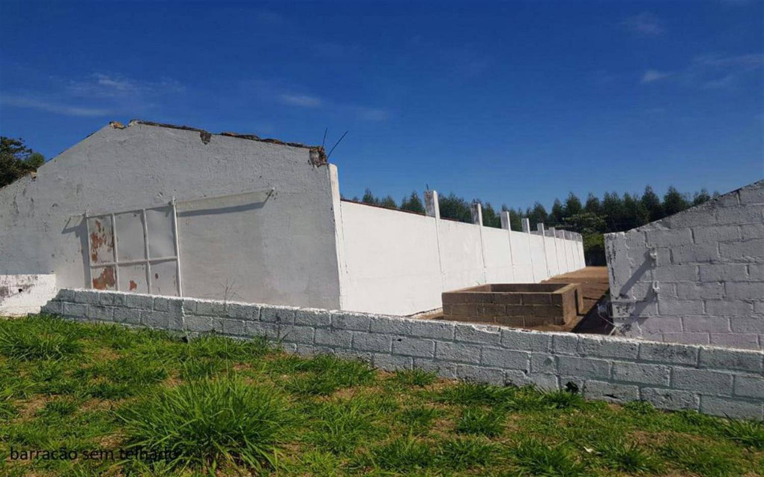 Sítio, 2 hectares - Foto 14