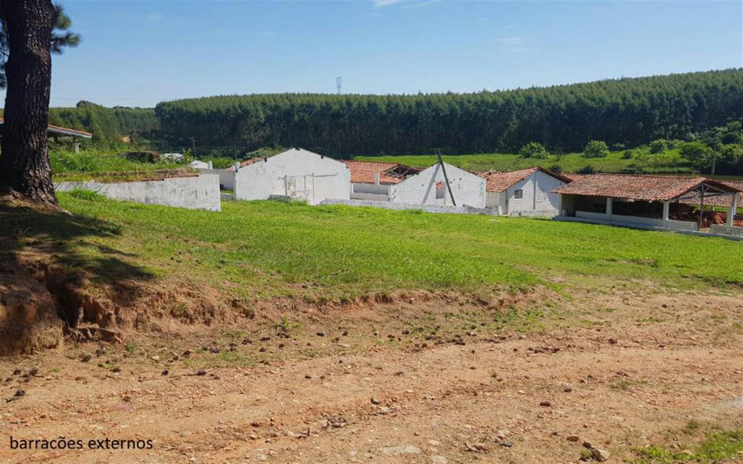 Sítio, 2 hectares - Foto 16