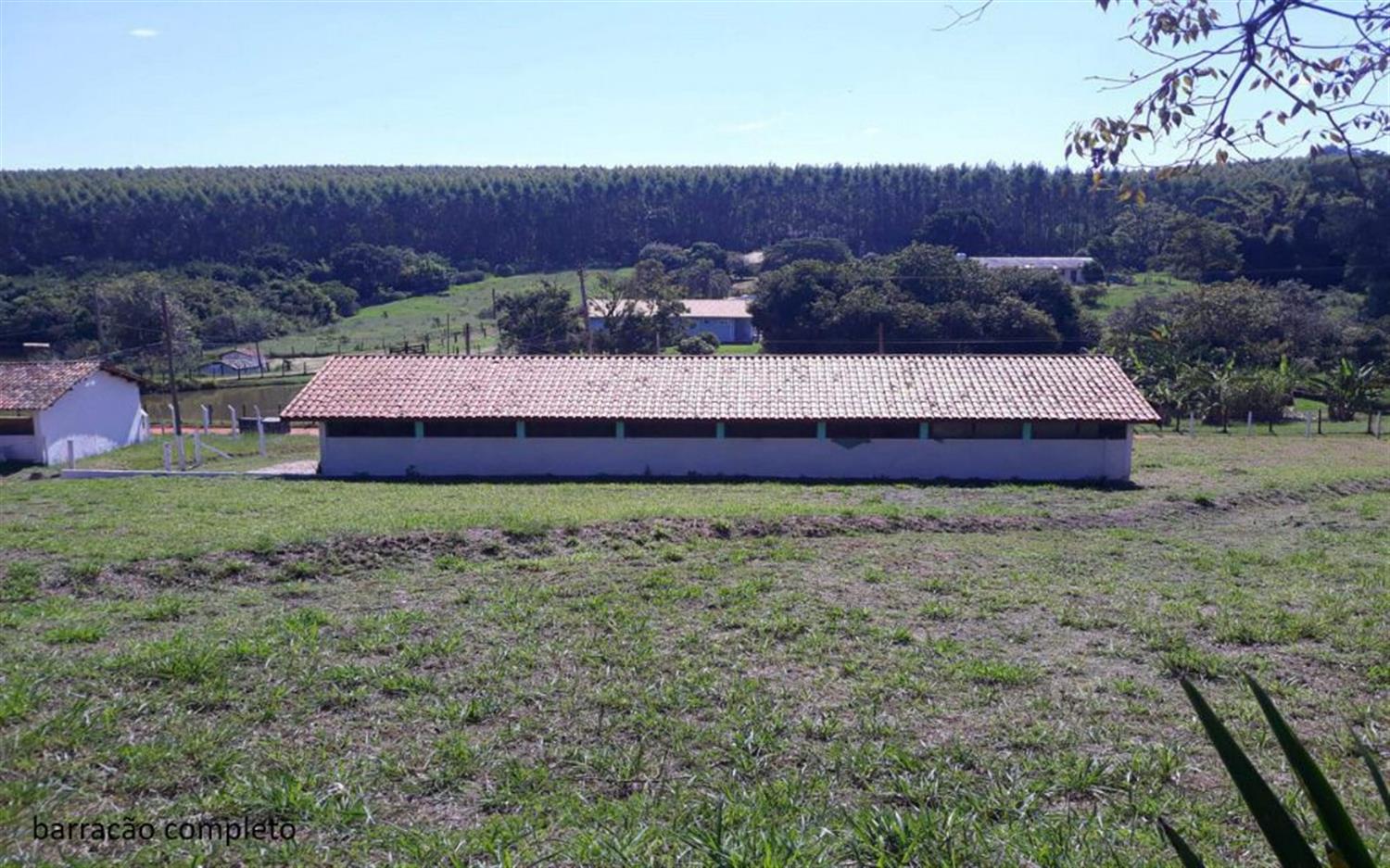 Sítio, 2 hectares - Foto 9