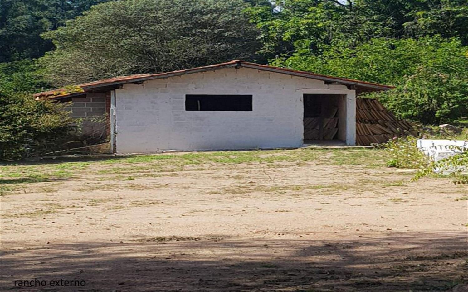Sítio, 2 hectares - Foto 33