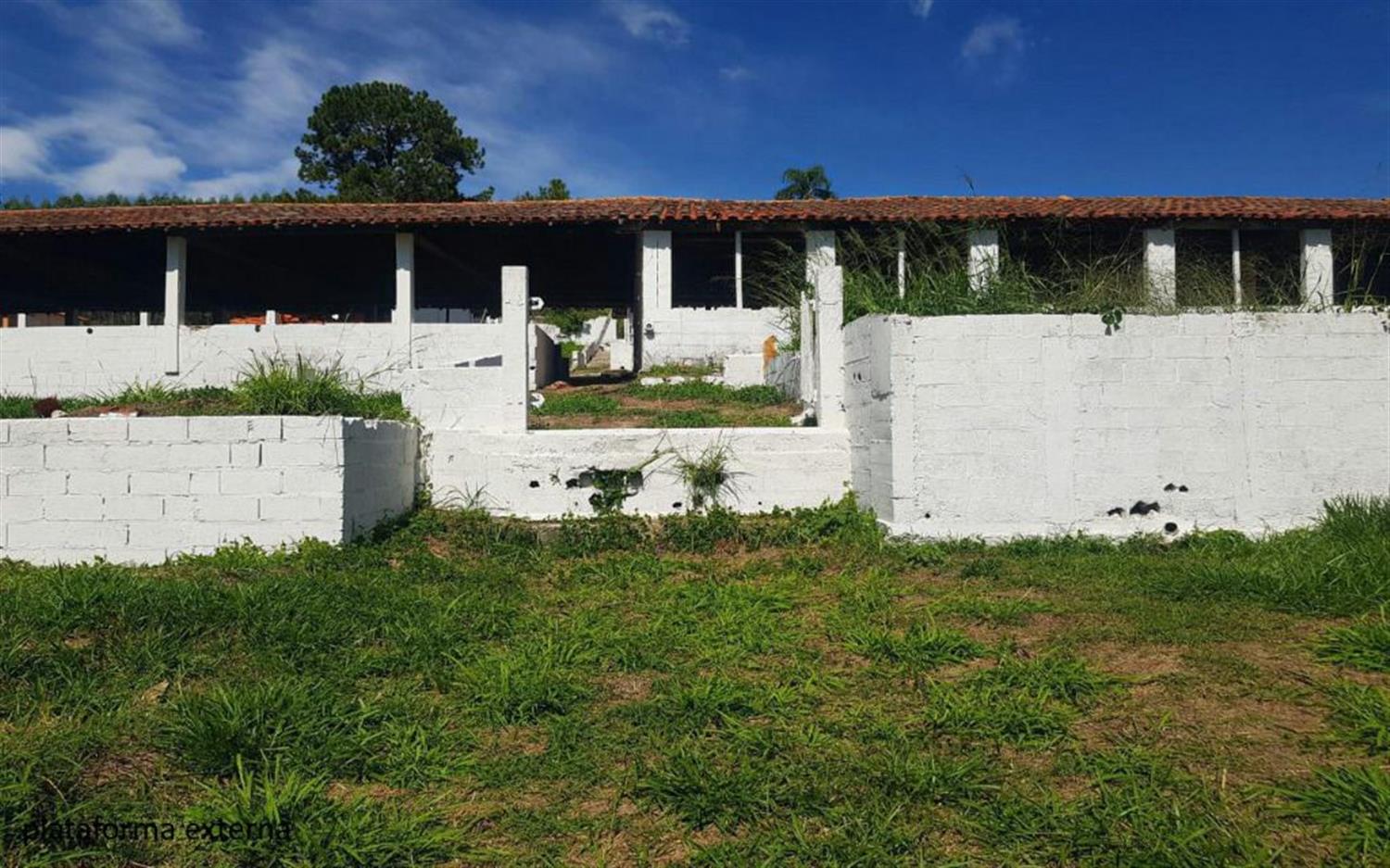 Sítio, 2 hectares - Foto 31