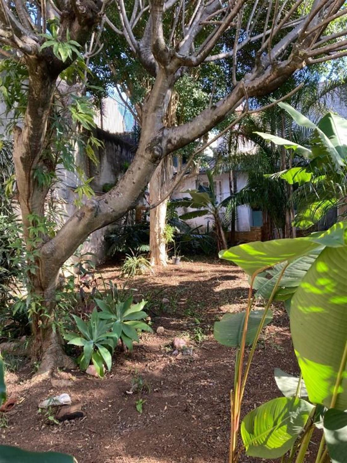 Casa, 4 quartos, 235 m² - Foto 19