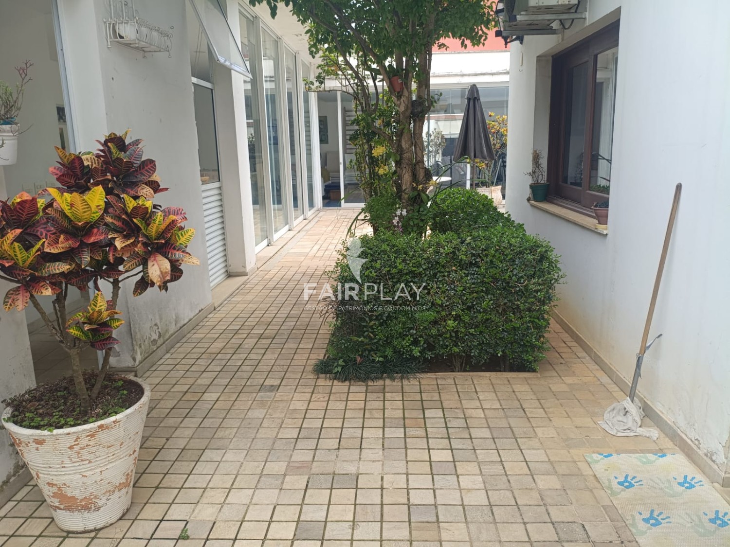 Casa, 3 quartos, 800 m² - Foto 37